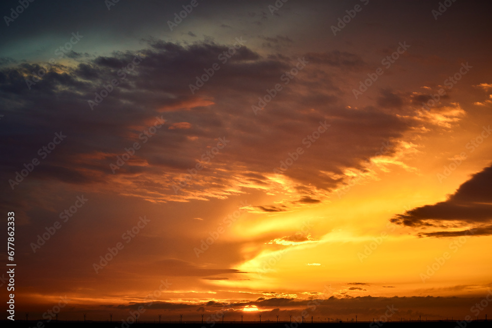 beautiful sunrise on the summer field