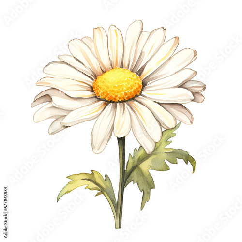 flower bouquet isolated on white background  ai generated 
