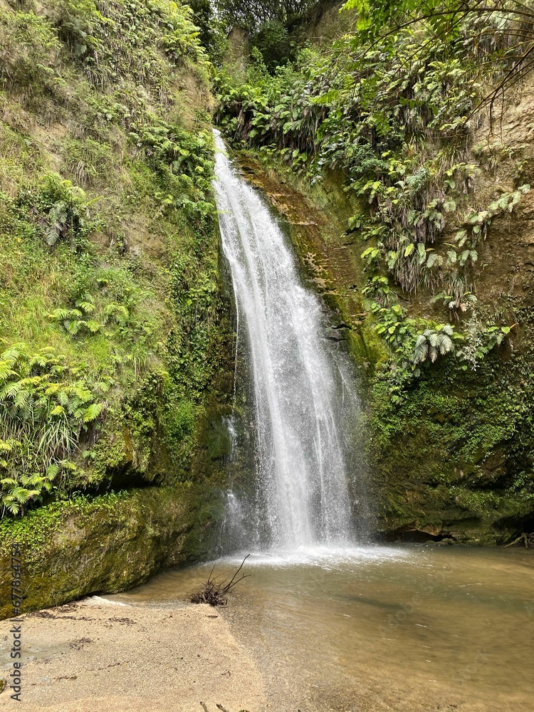 Vertical shot of foamy Tangio Falls waterfall and lush green vegetation in New Zealand