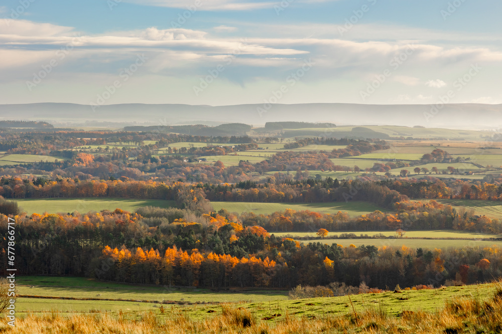 Rolling hills of the Scottish Highlands in colourful autumn with trail and view to fields and towns in light fog. Colourful vibrant trees and woodland