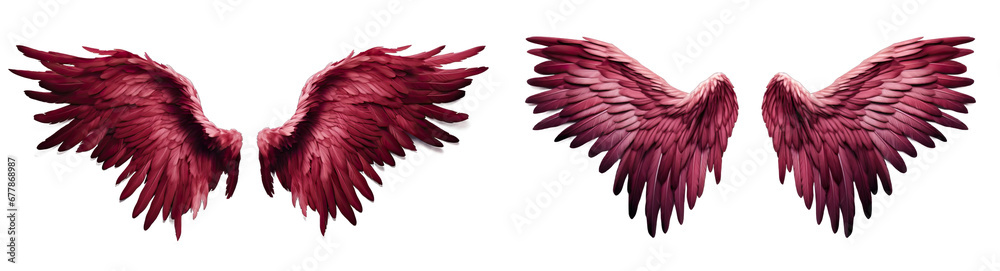 Fototapeta premium Maroon and black angel wings isolated on transparent background.Maroon and black wings. 