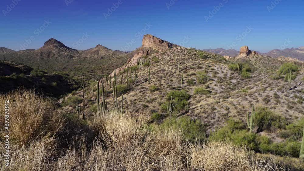Arizona Desert Landscapes, America, USA. Arizona Desert Landscapes, America, USA.