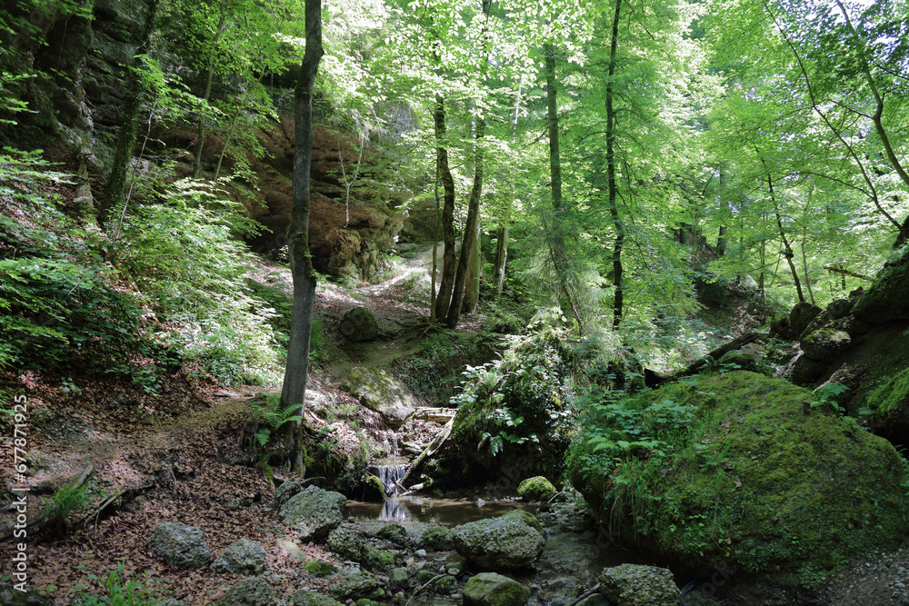 Naklejka premium Landschaft Bayern - Pähler Schlucht - Burgleitenbach / Landscape Bavaria - Pähler Gorge - Burgleitenbach /