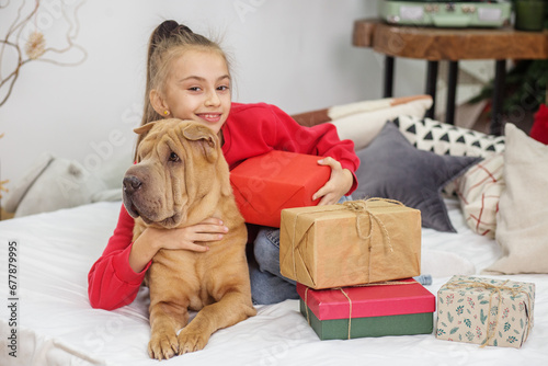 Child girl and dog at Christmas. Boxing Day. Shar Pei dog. Merry Christmas and Happy Holidays. © Olha Tsiplyar