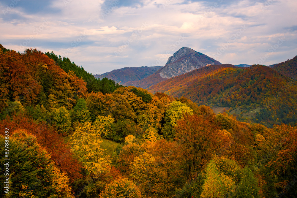 the beautiful autumn colored forest in the mountains