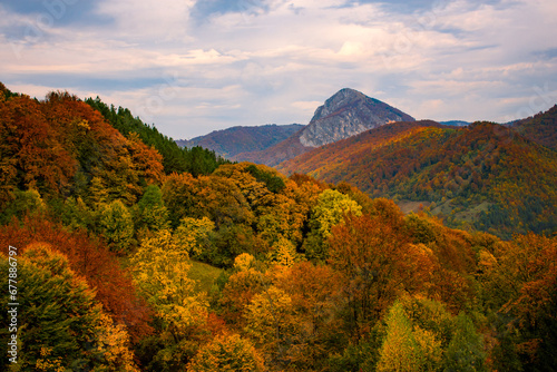 Obraz na płótnie the beautiful autumn colored forest in the mountains w salonie