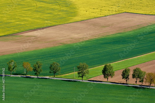 Obraz na płótnie agricultural crops in the spring in the field w salonie
