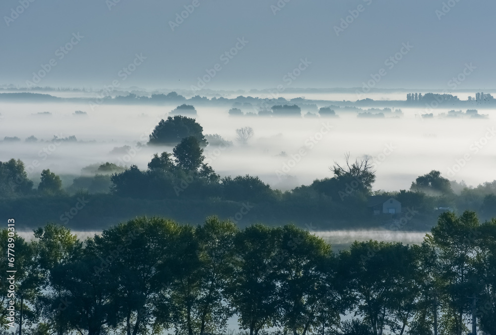 sunrise with fog in the Danube Delta