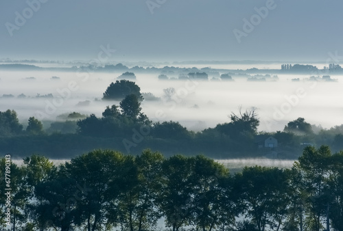 Obraz na płótnie sunrise with fog in the Danube Delta w salonie