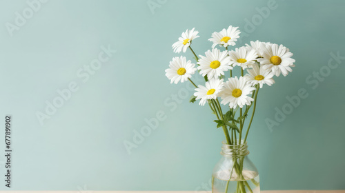 Oxeye Daisy Natural Colors , Background For Banner, HD