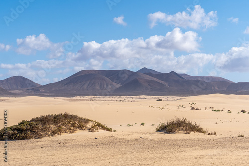 Sandy desert dunes Corralejo in Fuerteventura, Canary islands, Spain, summer vacation panoramic high view drone