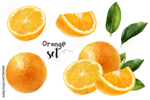 Watercolor illustration of orange fruit set close up. Design template for packaging, menu, postcards.