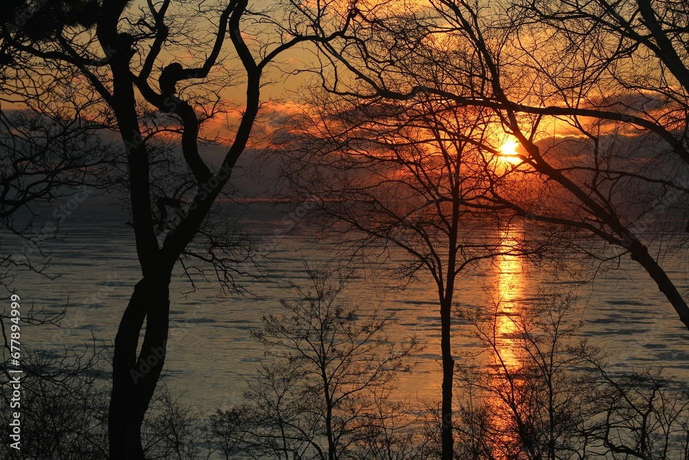 Sun setting over the water with bare trees in the foreground