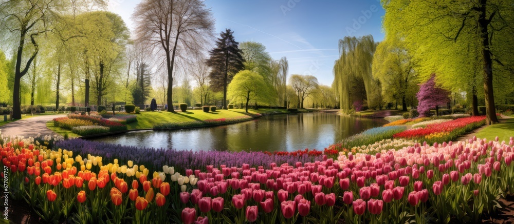 The Keukenhof known for its beautiful landscape and vibrant floral beauty is a stunning garden where colorful flowers of all kinds bloom during the enchanting spring and summer seasons surr - obrazy, fototapety, plakaty 
