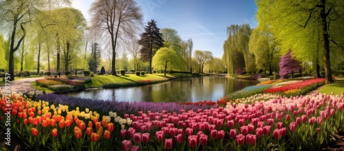 The Keukenhof known for its beautiful landscape and vibrant floral beauty is a stunning garden where colorful flowers of all kinds bloom during the enchanting spring and summer seasons surr