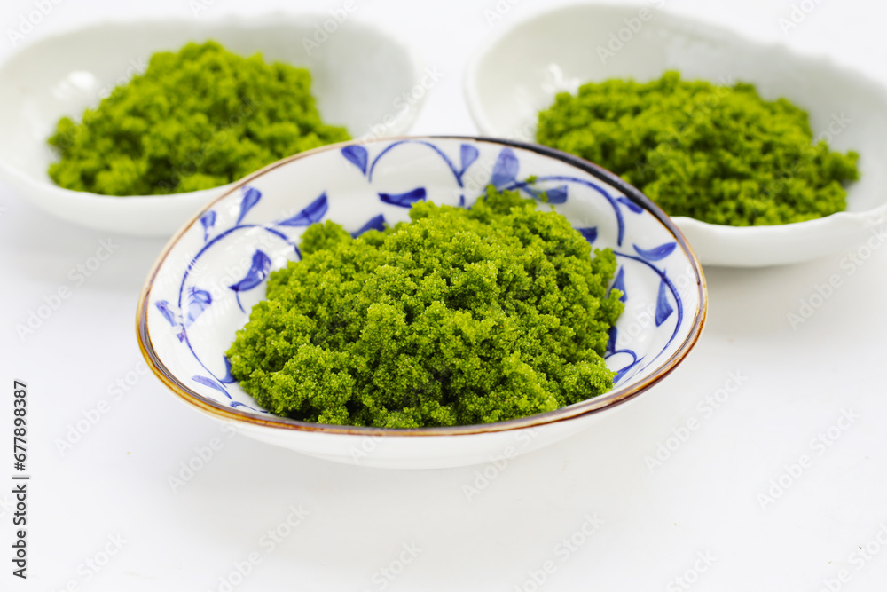 Wolffia globosa or swamp algae, water meal Wolffia globosa or swamp algae, water meal
