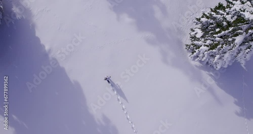 Aerial - Young woman walks to the forest field, falls into snow and starts making snow angel photo