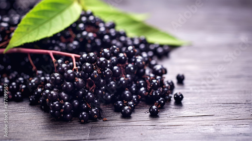 Elderberry Natural Colors , Background For Banner, HD