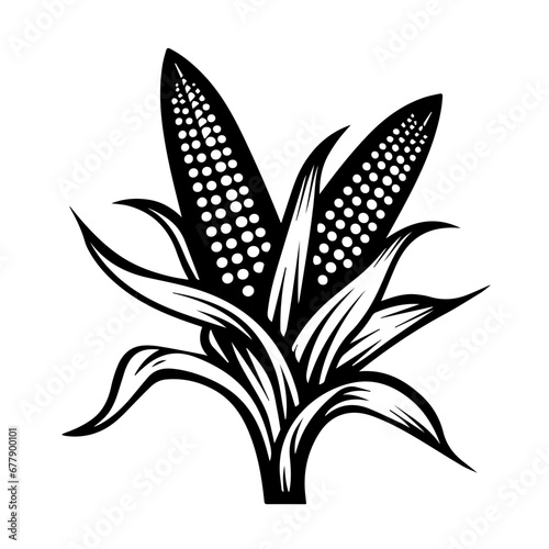 Corn Vector