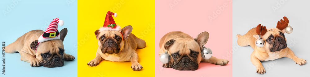 Christmas set of cute dogs on color background