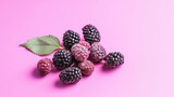 Boysenberry Natural Colors Minimalist, Background For Banner, HD