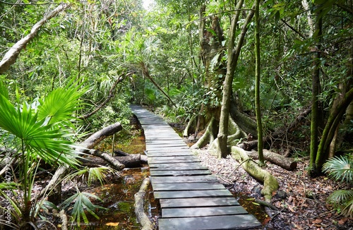  The Sian Ka'an Biosphere Reserve near Tulum, Mexico