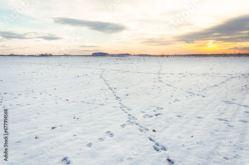 Snowy field with sunset in the background. Footprints form an x in the snow. Winter season landscape.