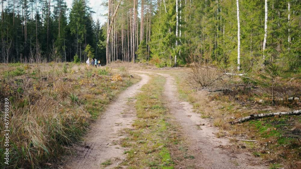 Slow walking first person view along forest road background 4k Slow walking first person view along forest road background 4k