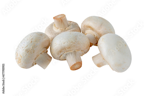 White champignons mushrooms isolated transparent png. Agaricus bisporus.