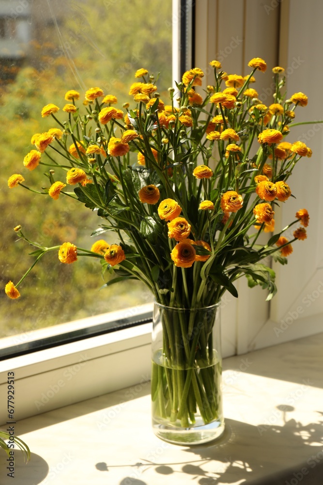 Beautiful ranunculus flowers in vase on windowsill indoors