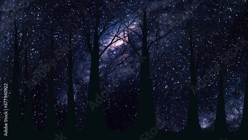 Milky way night sky with shooting stars in the forest photo