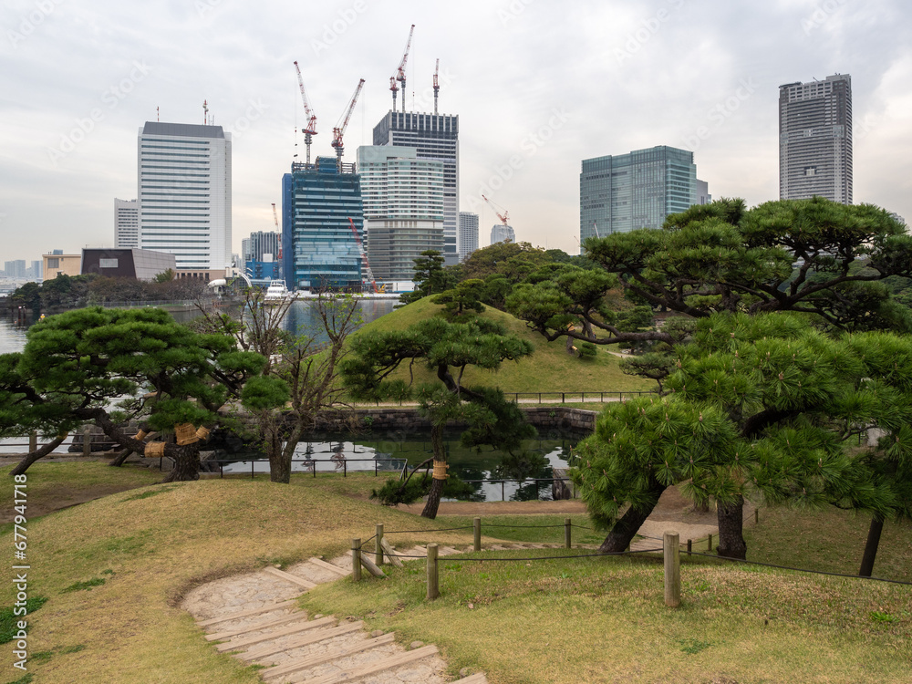 Obraz premium Walk path with green grassfields in Hamarikyu Gardens in Tokyo. Autumn in Tokyo Gardens among the commercial buildings