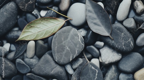 Immerse in the tranquil Zen garden, where each pebble and rake stroke conveys profound significance. Serenity reigns with contemplative stillness