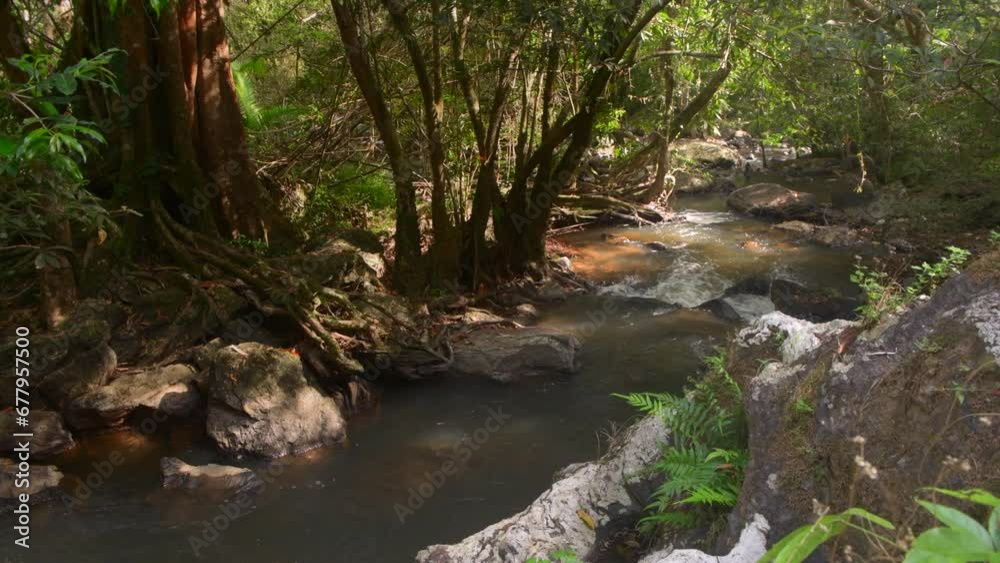 Water flows over the rocks of a stream in the tropical jungle of Asia in 4K video with dim lighting. according to the nature of the forest Water flows over the rocks of a stream in the tropical jungle of Asia in 4K video with dim lighting. according to the nature of the forest