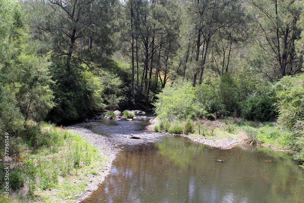 Nymboida River with water and trees in New South Wales, Australia Nymboida River with water and trees in New South Wales, Australia