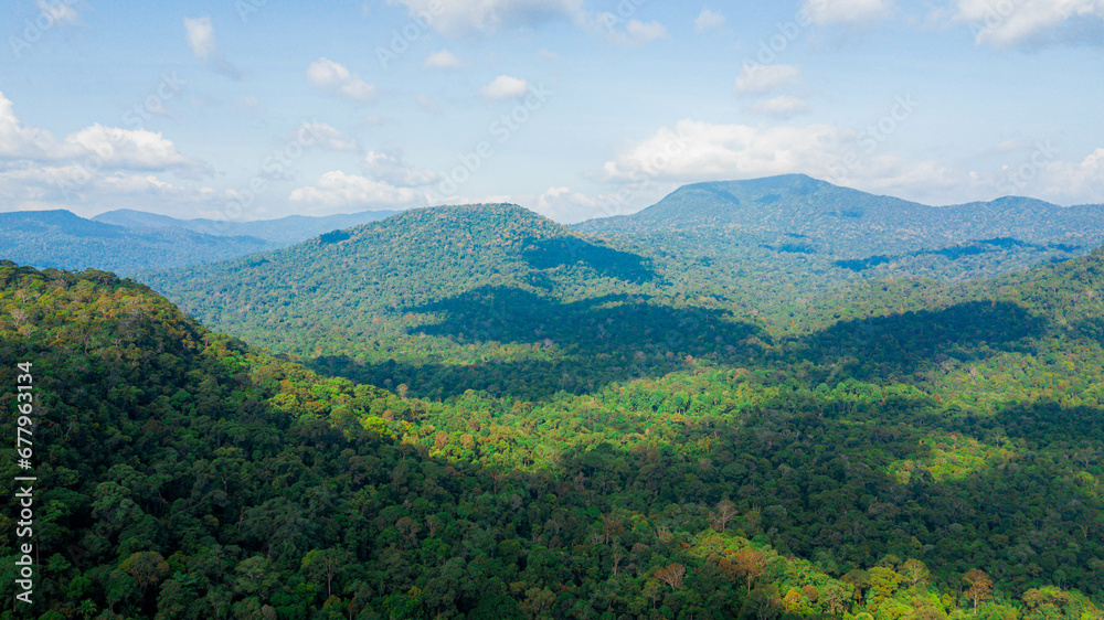 Aerial drone view of lush green view of forest trees scenery at Endau Rompin State Park in Kaula Rompin, Pahang, Malaysia