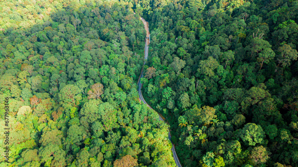 Aerial drone view of lush green forest trees scenery at Endau Rompin State Park in Kuala Rompin, Pahang, Malaysia Aerial drone view of lush green forest trees scenery at Endau Rompin State Park in Kuala Rompin, Pahang, Malaysia