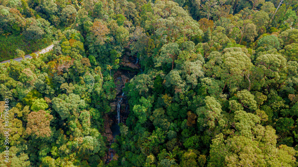 Naklejka premium Aerial drone view of green tropical jungle with a small waterfall in Endau Rompin State Park, Pahang, Malaysia