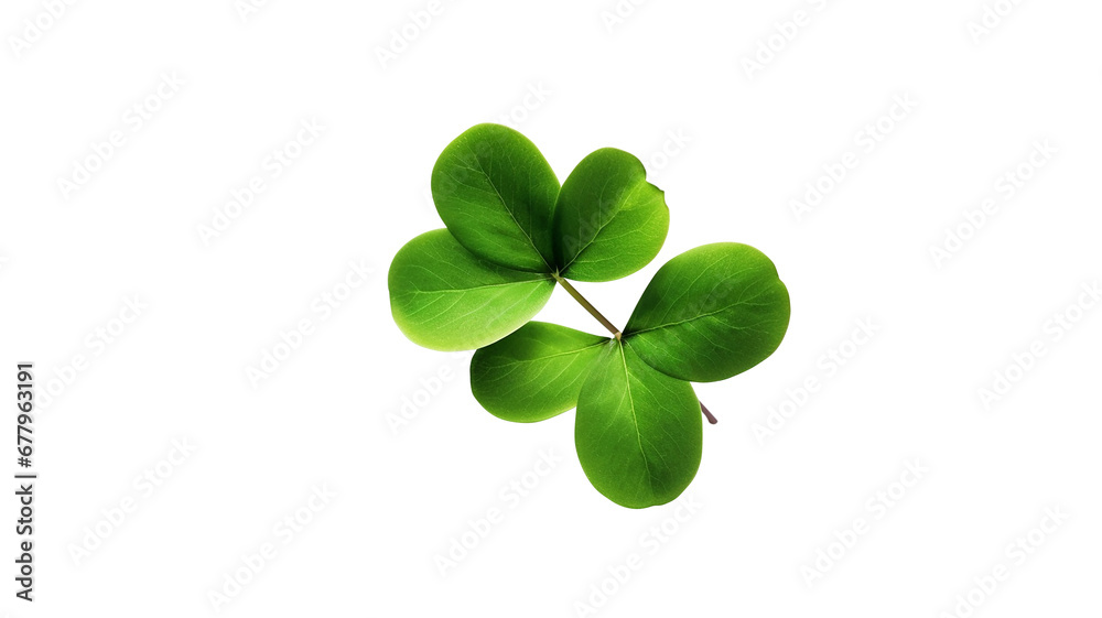 clover leaf isolated, PNG Transparent clover leaf isolated, PNG Transparent