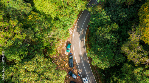 Aerial drone view of lush green forest trees scenery and a paved road at Endau Rompin State Park in Kaula Rompin, Pahang, Malaysia