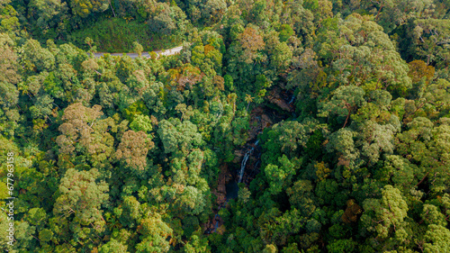 Aerial drone view of green tropical jungle with a small waterfall in Endau Rompin State Park, Pahang, Malaysia photo