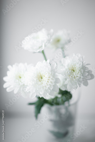 Flower white beautiful macro close up