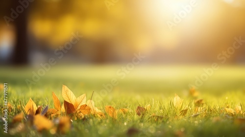 grass light beauty day sunlit illustration landscape green, color park, trees environment grass light beauty day sunlit