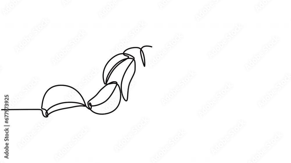 Garlic animation video accompanied by garlic slices in a continuous line art drawing style. Garlic concept in running single line video style. 4k videos Garlic animation video accompanied by garlic slices in a continuous line art drawing style. Garlic concept in running single line video style. 4k videos