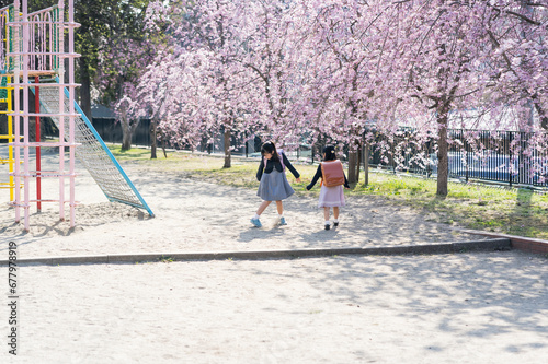 桜咲く公園で遊ぶ小学生の女の子 photo