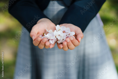 桜の花を持つ女の子の手元 photo