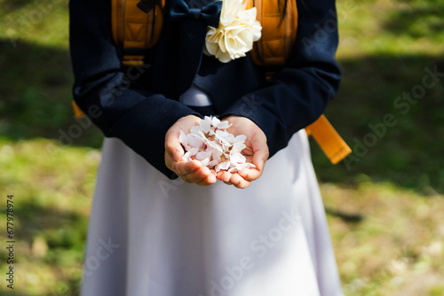 桜の花を持つ女の子の手元 photo
