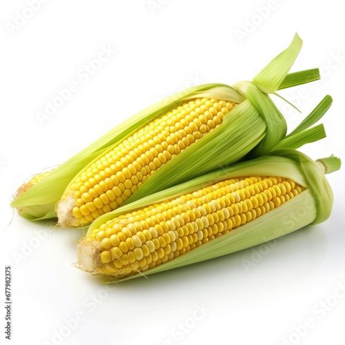 A fresh corn on a clean white background