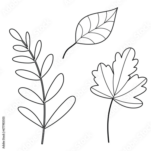 Autumn and Fall Season Theme Simple and Cute Vector Arts