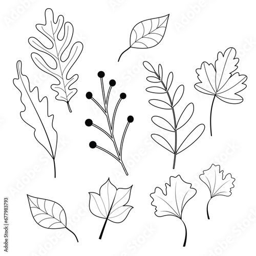 Autumn and Fall Season Theme Simple and Cute Vector Arts